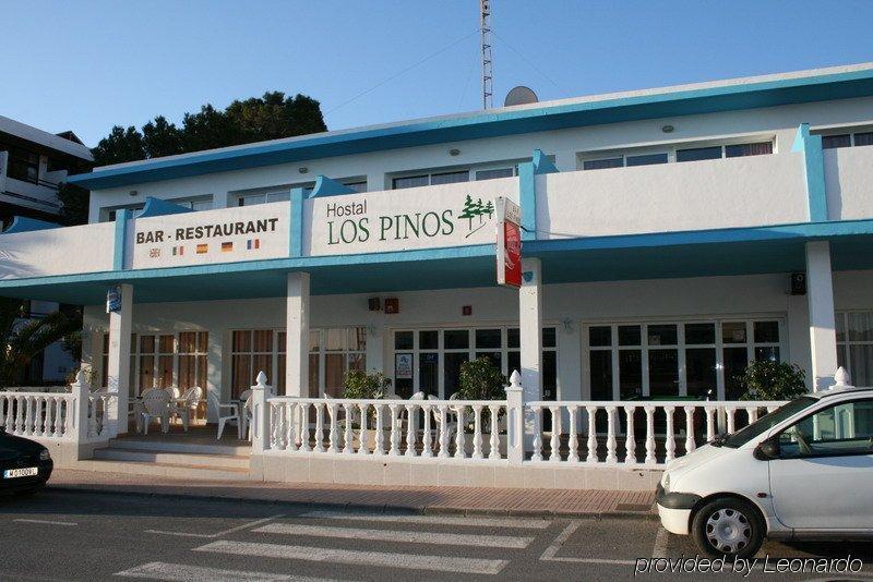 Hostal Los Pinos เอสกานา ภายนอก รูปภาพ